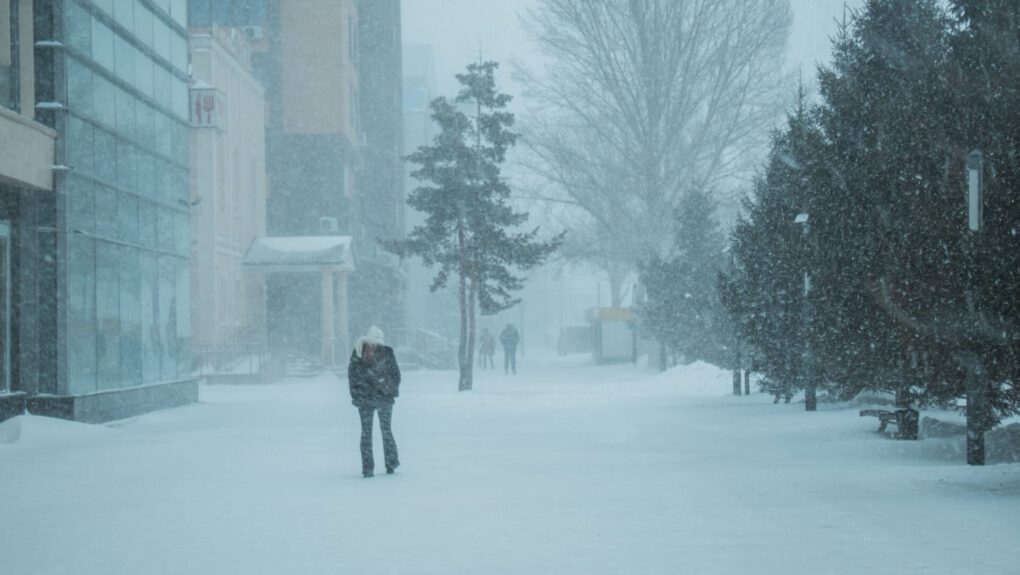 Фото ашық дереккөзден алынды